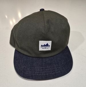 Patagonia Dark Green and Blue Hat